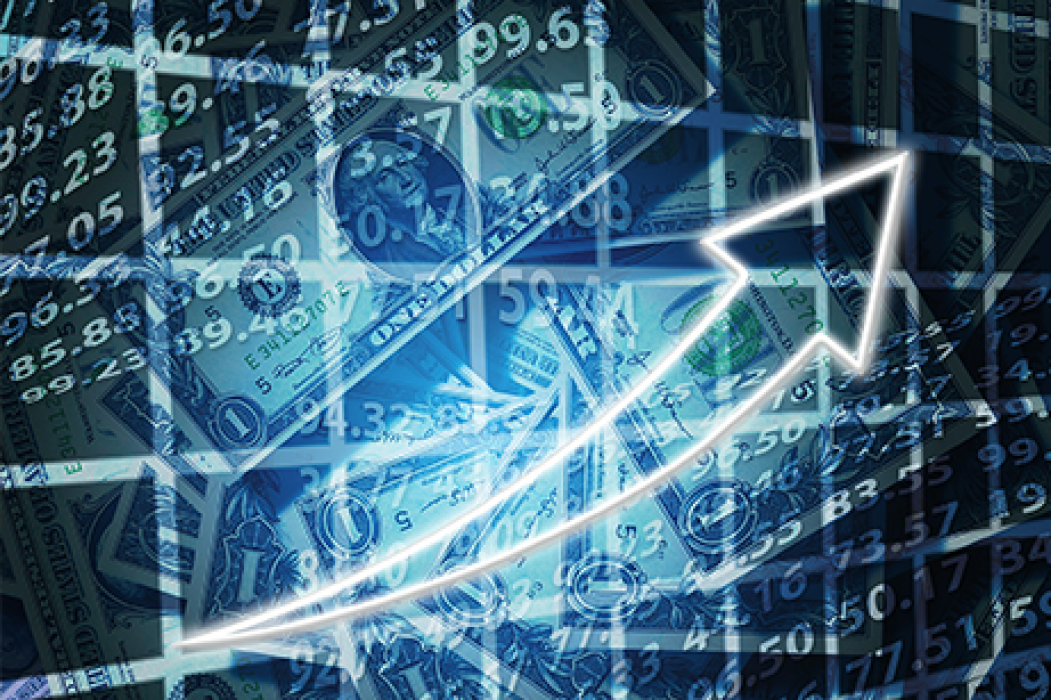 חקירת רקע פיננסית