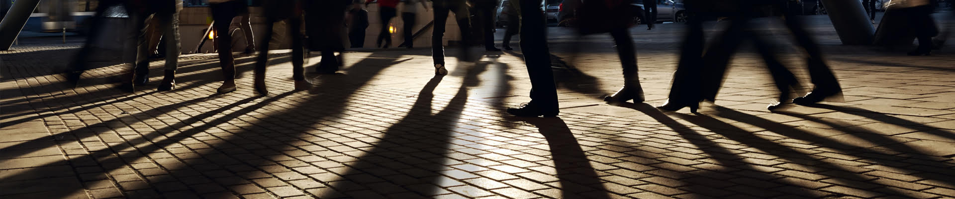 חוקר חקירות-שטח